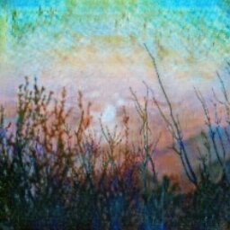 Monet Style